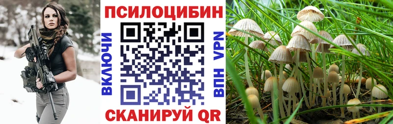 Галлюциногенные грибы Cubensis Зима