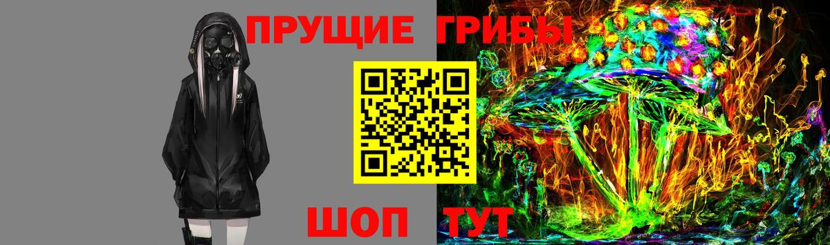 Зима  Псилоцибиновые грибы мухоморы  закладки  Вход с VPN 